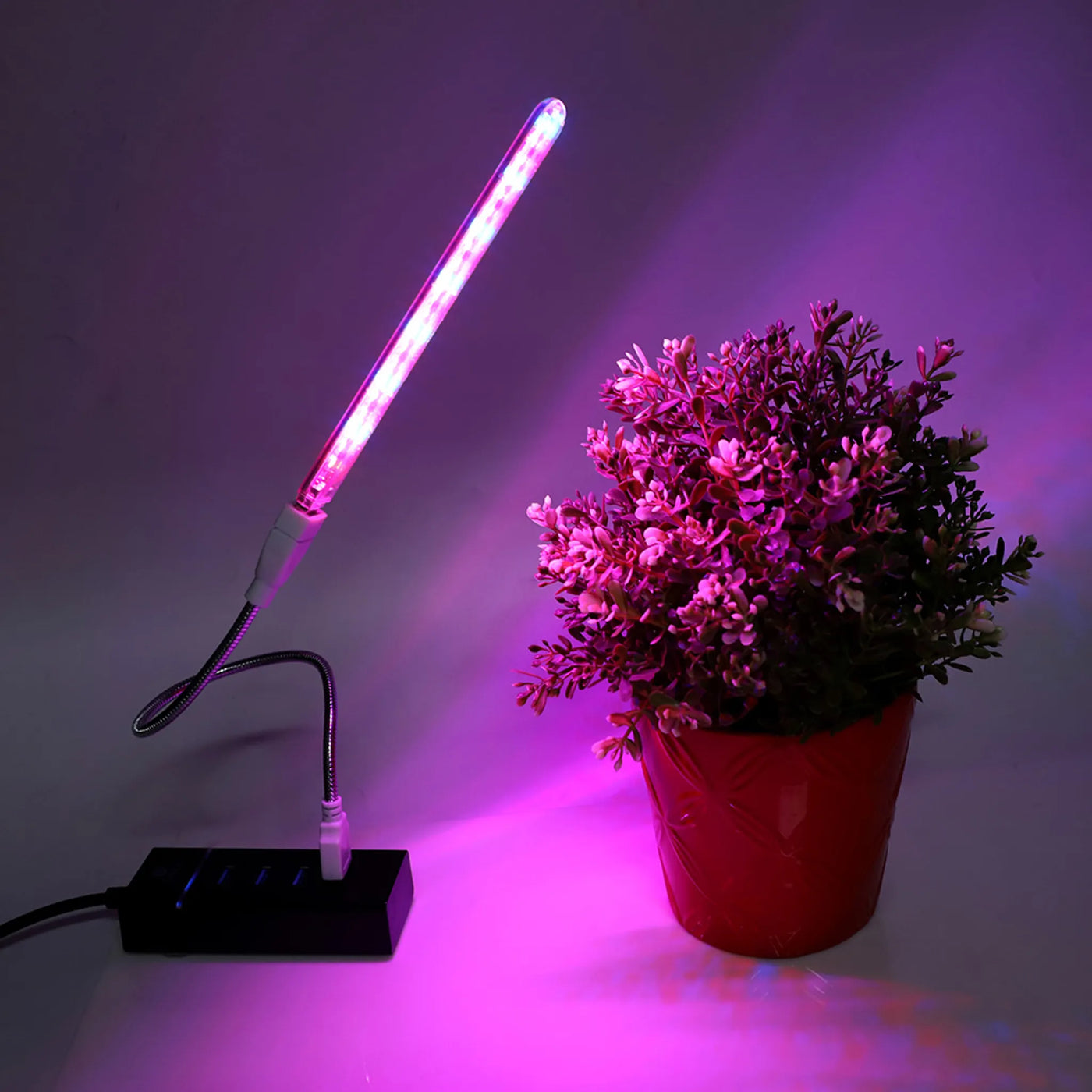 GreenGrow LED Pflanzenlicht